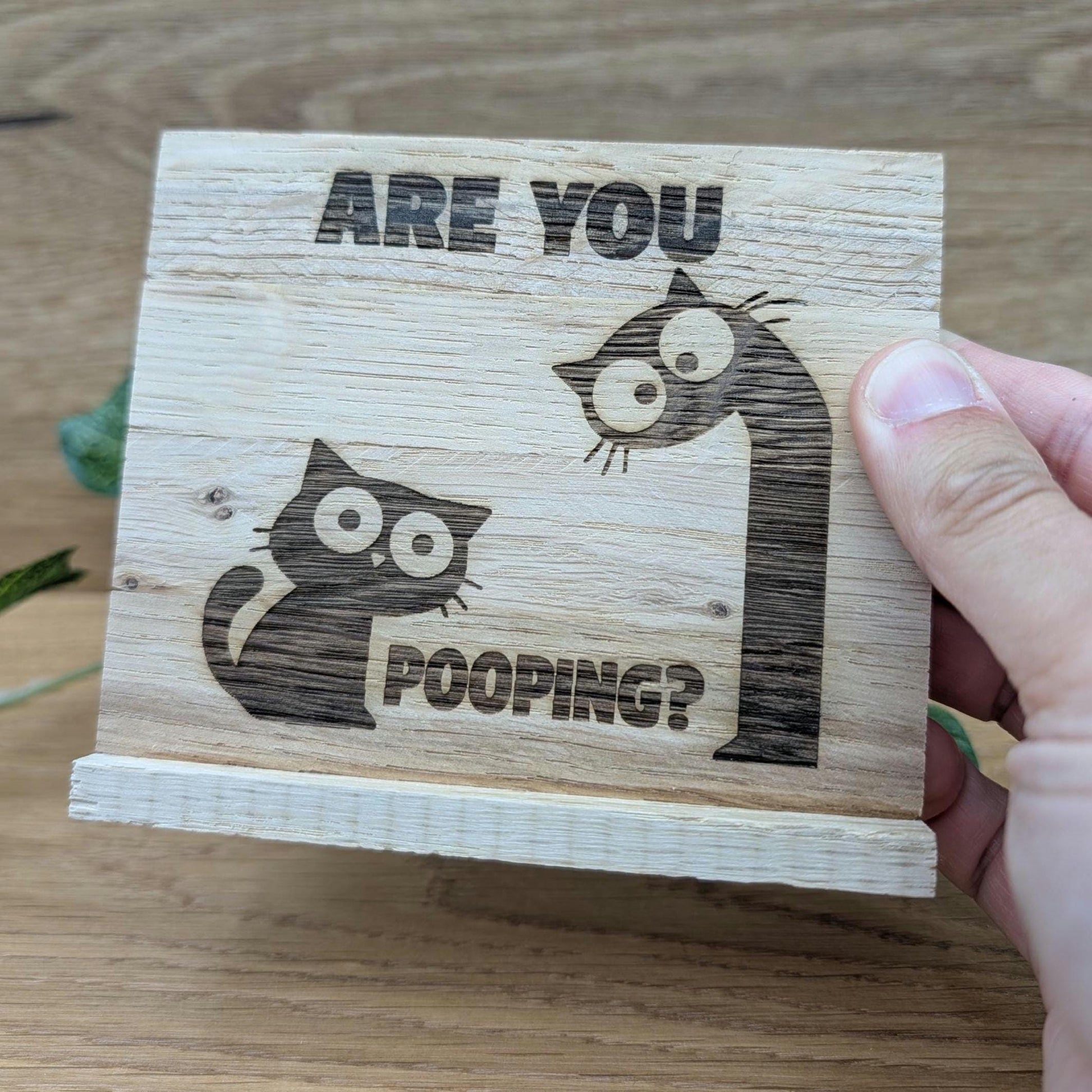 Kloschild lustig | Badezimmerdeko aus Holz "are you pooping?"