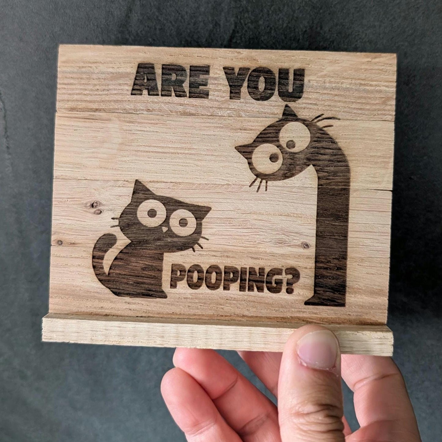 Kloschild lustig | Badezimmerdeko aus Holz "are you pooping?"