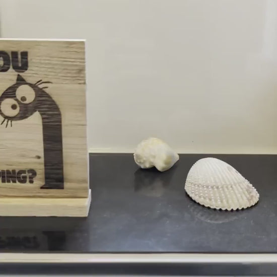 Kloschild lustig | Badezimmerdeko aus Holz "are you pooping?"