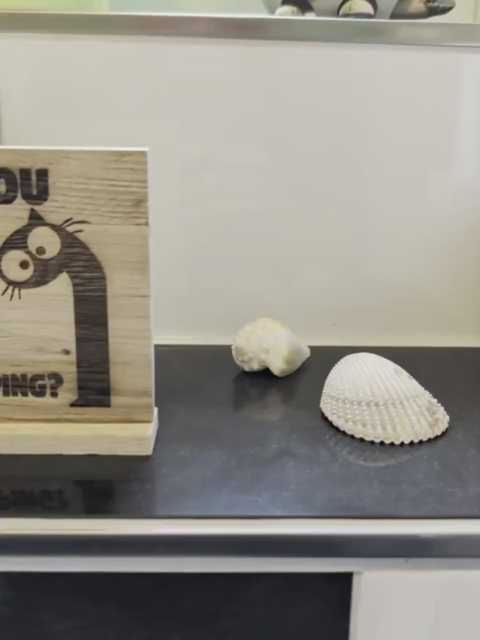 Kloschild lustig | Badezimmerdeko aus Holz "are you pooping?"